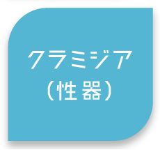 クラミジア（性器）