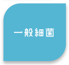 一般細菌