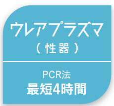 ウレアプラズマ(性器)