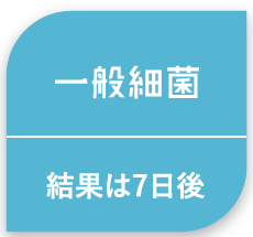 一般細菌