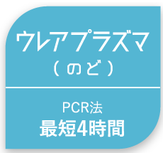 ウレアプラズマ(のど)