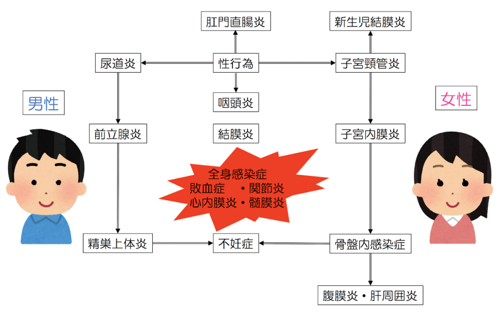 性病 感染 経路