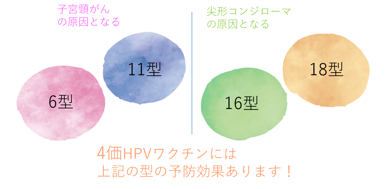 尖 圭 コンジローマ