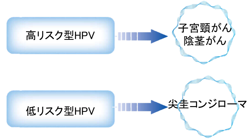 費用 子宮 ワクチン 頚 癌