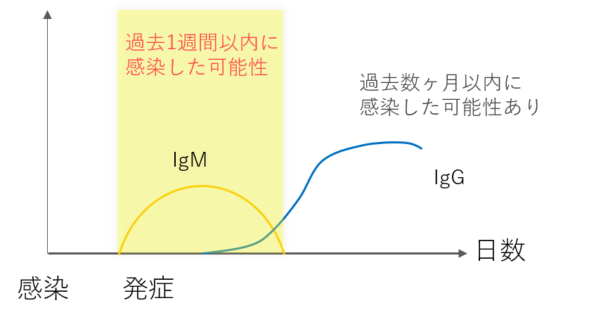 し コロナ まで 何 感染 て 発症 日 から