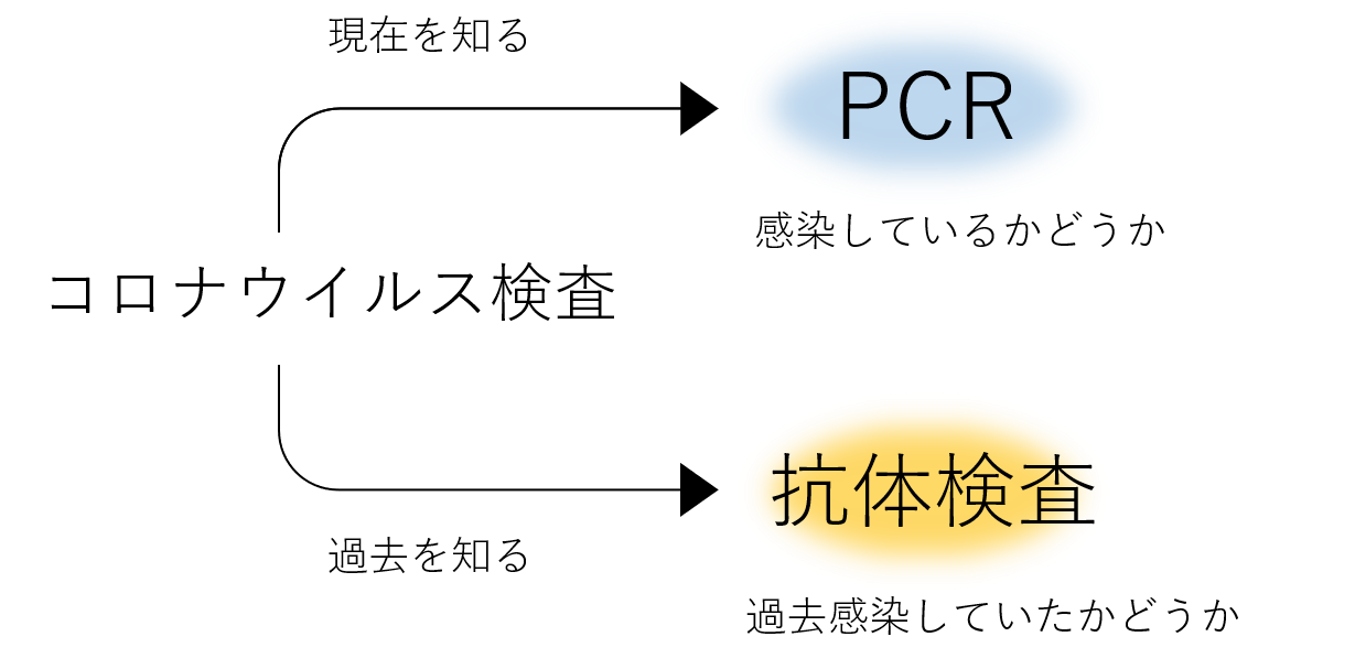 コロナ ウィルス 検査 方法