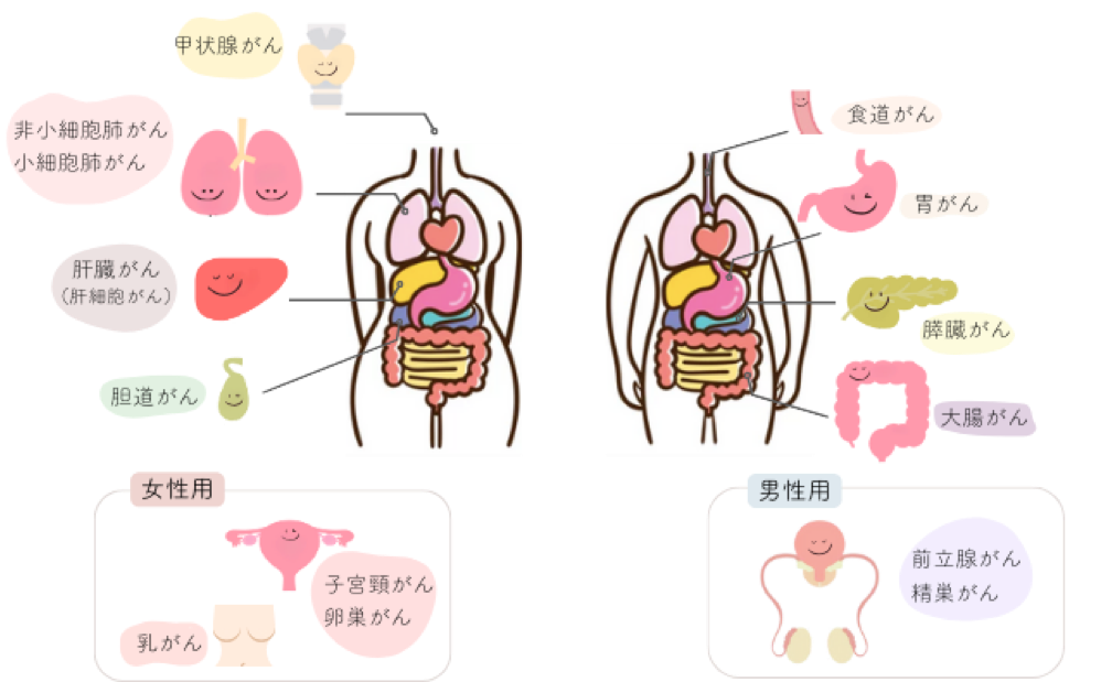 パソコン用の画像