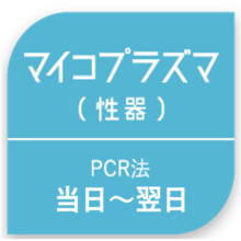 マイコプラズマ(性器)