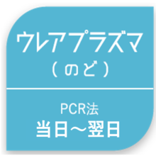 ウレアプラズマ(のど)