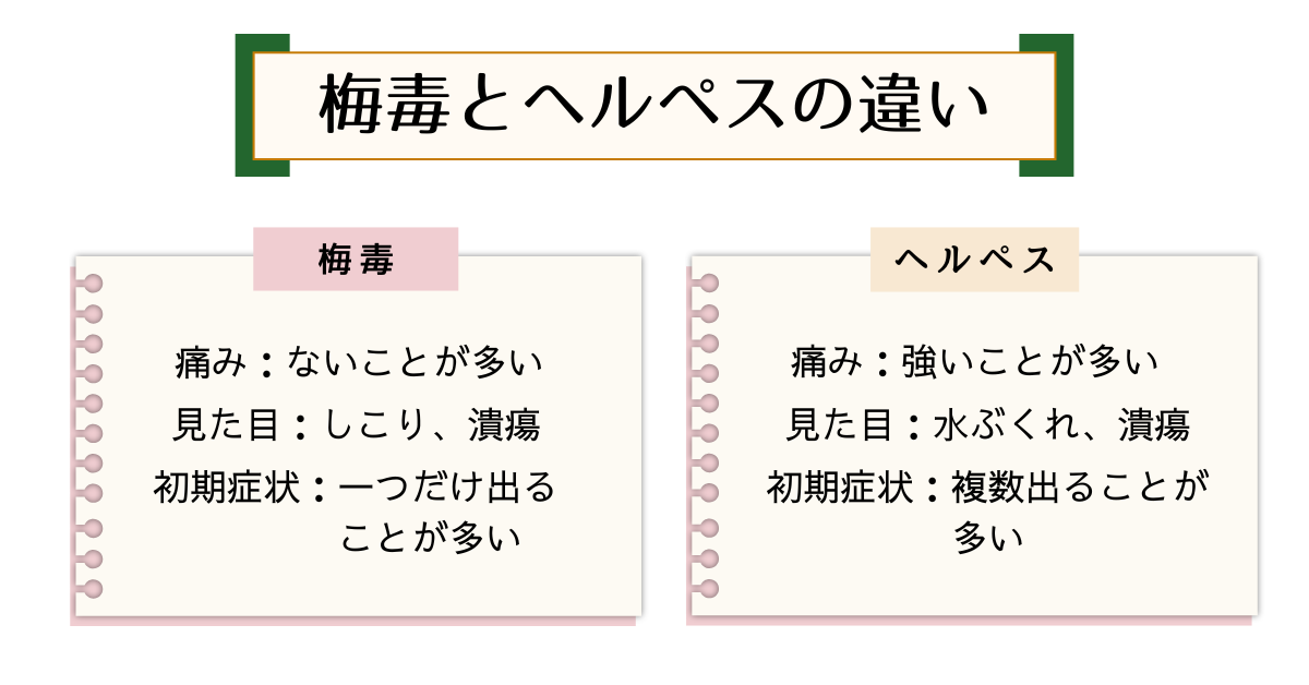 梅毒と性器ヘルペスの症状の違いを比較した図。梅毒は痛みがないことが多くしこりや潰瘍が特徴、ヘルペスは痛みが強く水ぶくれが特徴。ただし実際には症状だけで区別できないこともある。