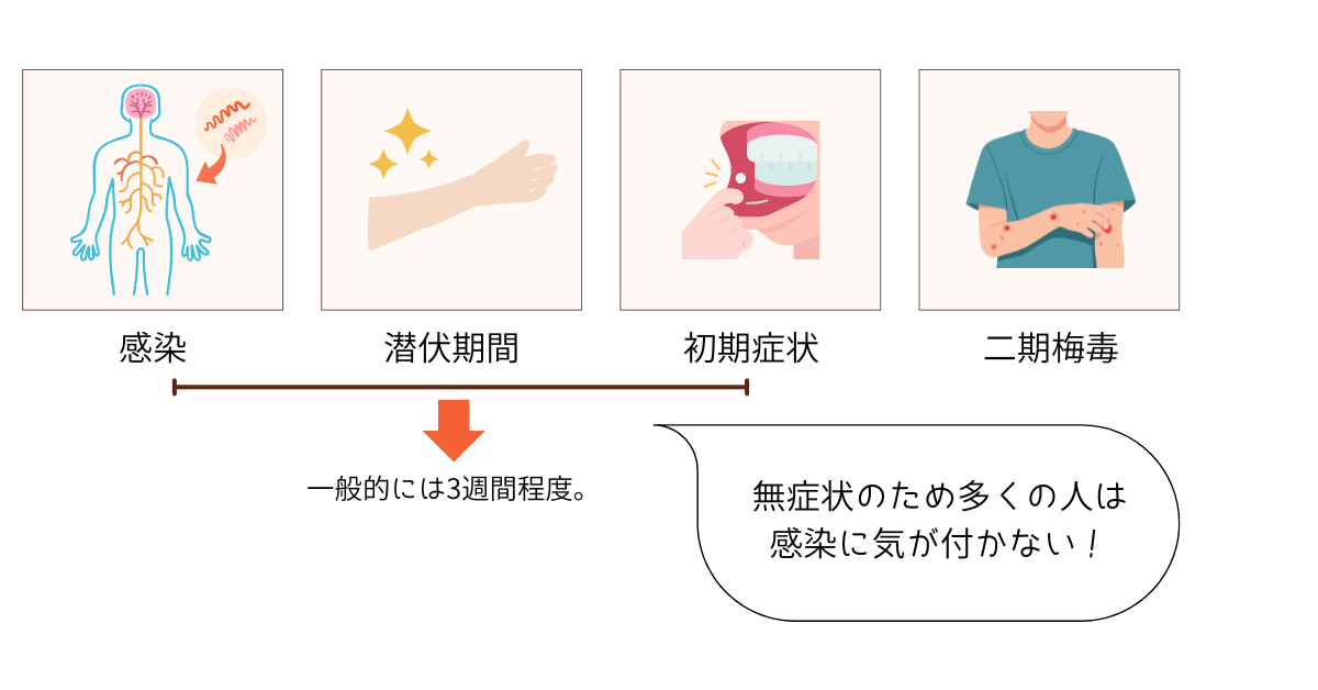 梅毒の感染から潜伏期間、初期症状を経て二期梅毒へ進行することを表したイラスト
