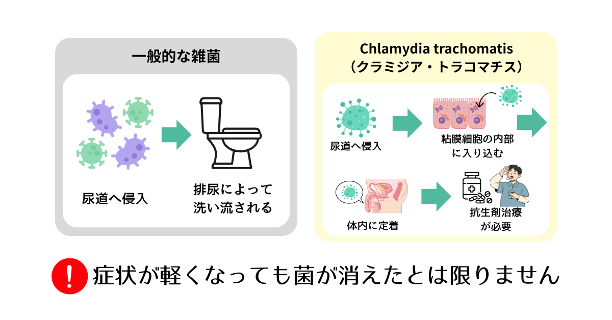 “クラミジアは自然治癒せず抗生剤が必要であることを示すイラスト“
