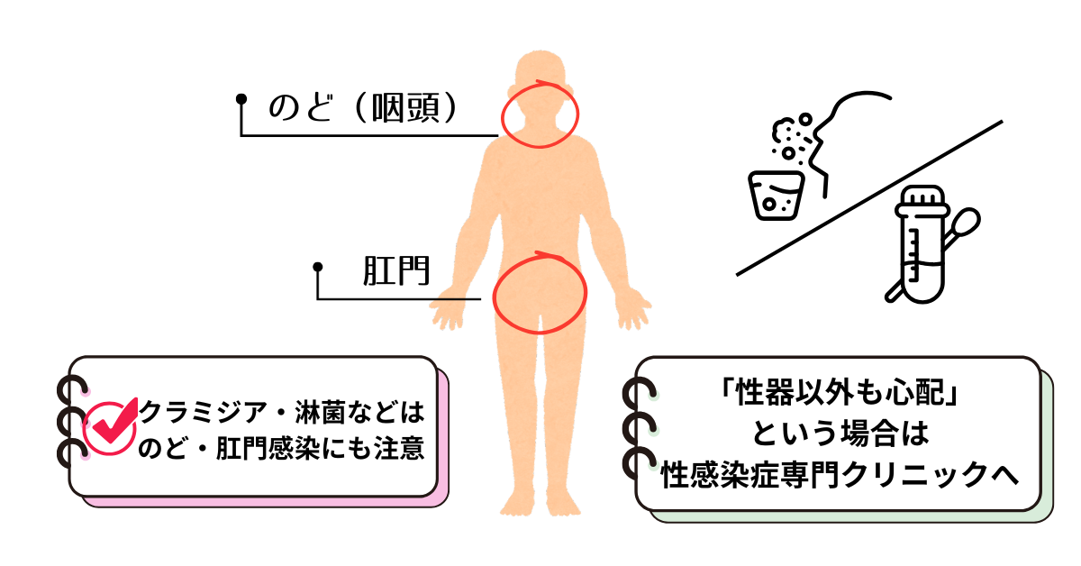 “性感染症は性器だけでなく、のどや肛門にも感染することを示す図解“