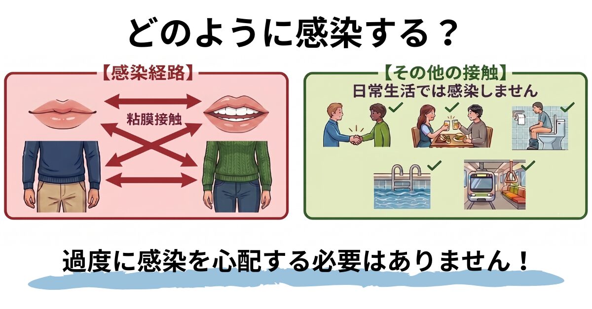 感染経路クラミジア