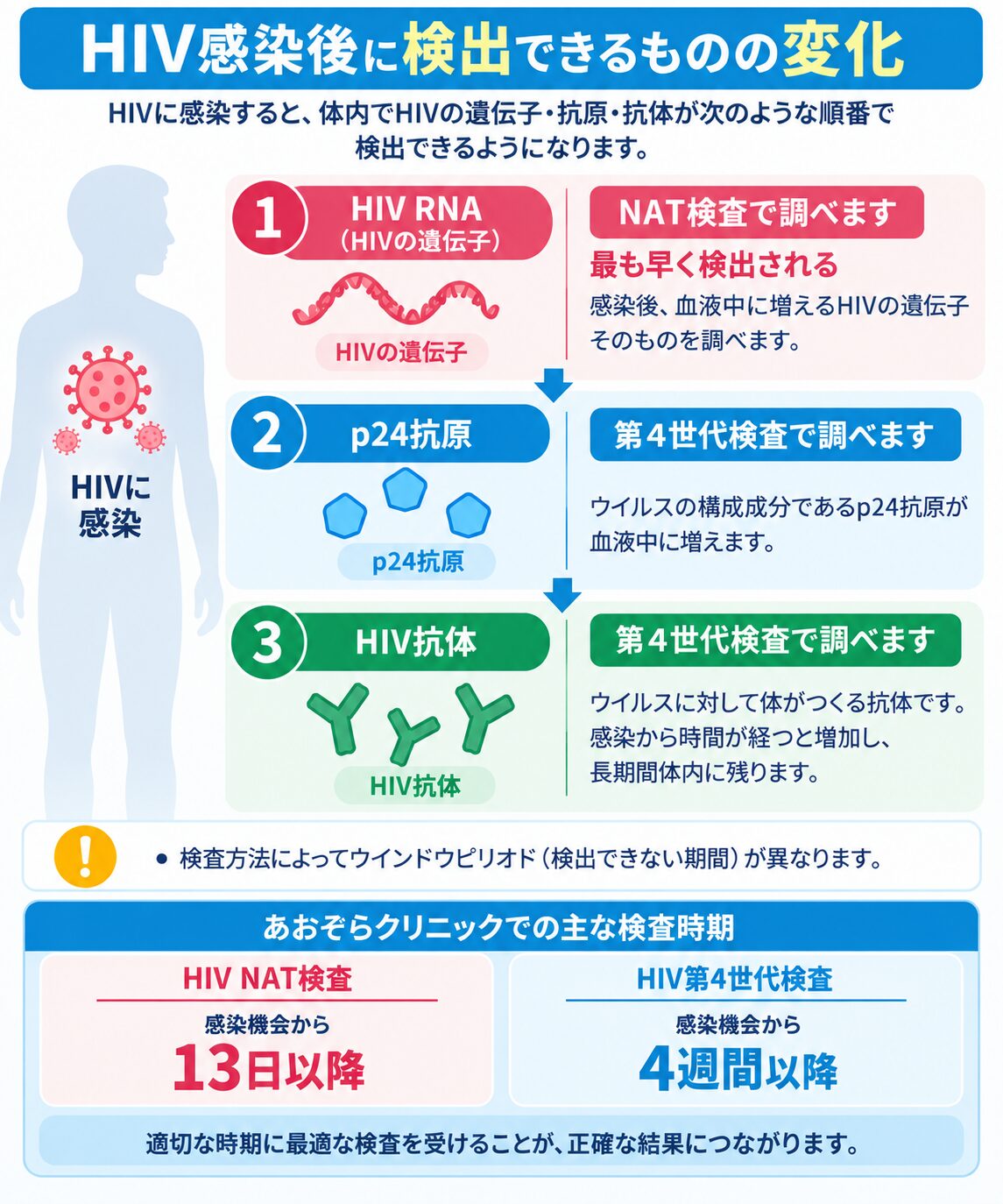 HIV検査の精度はどれくらい？NAT検査・第4世代検査の信頼性と正しい
