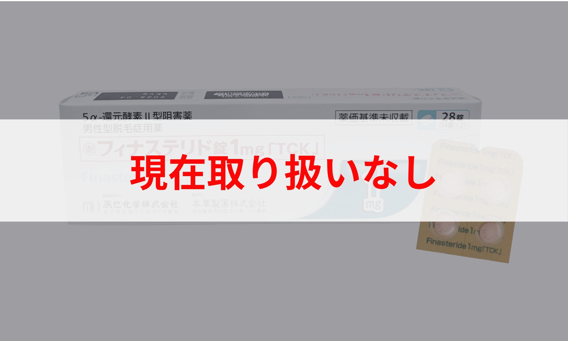 辰巳化学